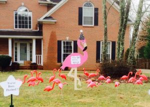 Flamingo Flockings Birthday Graduation Good Luck Welcome Home Yard Signs Decorations