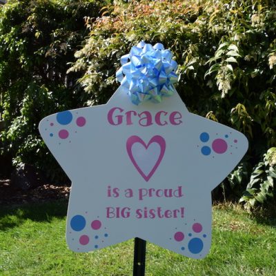 New Baby Birth Announcment Sibling Star Big Brother and Big Sister are important too