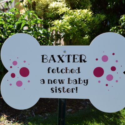 Shopping Cart 42 Dog Bone Message Star New Baby Birth Announcement Stork Sign Proud Dog