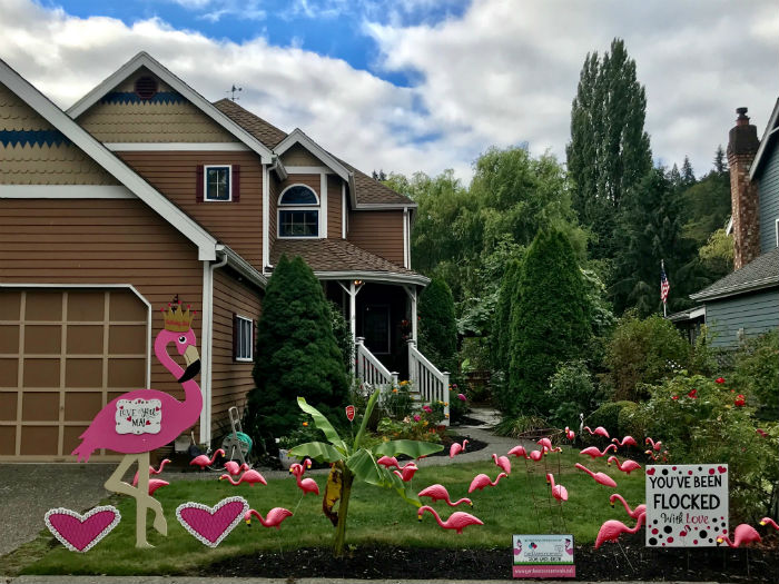 Milestone Birthday?  Yard Announcements will make them Smile with our FUN Flamingo Flocking and Birthday Yard Signs!  They’ll Never Forget THAT Birthday!