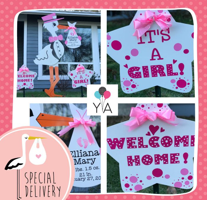 Looking for a Unique Baby Gift? A Grandparents Baby Gift? Birth Announcement Stork Sign Rentals Make the Perfect Baby Gift!