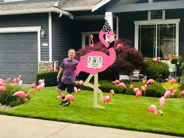 Look Who Flew in to Wish You a Happy Birthday?! Flock them with Love with a Flamingo Flocking in Washington!