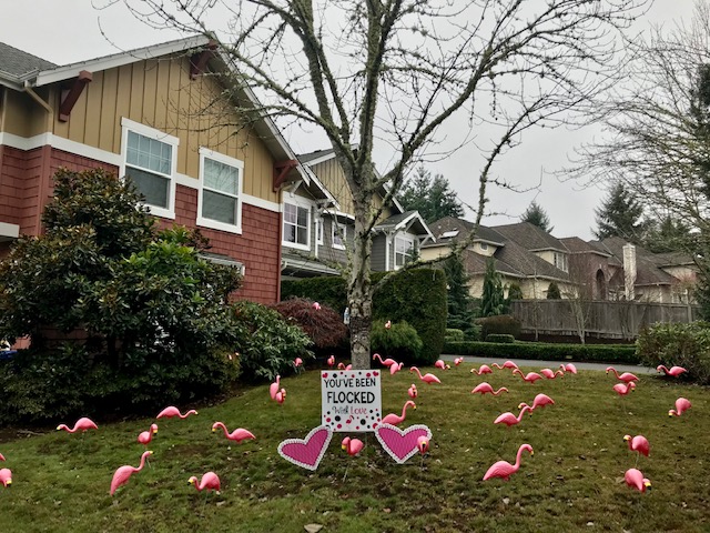 Pink Flamingo Flocking - Yard Announcements