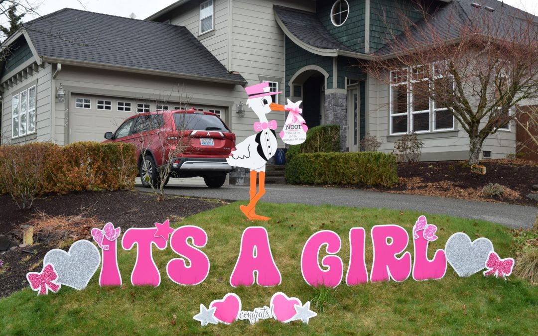 Welcome the New Baby Home in a BIG Way with a Stork Sign Yard Announcement!