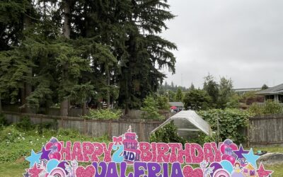 Birthday Yard Signs for $79.99 are FUN for your Littles!